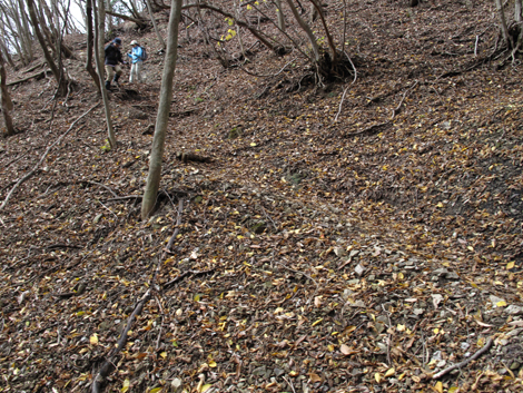 20151116hike (251)